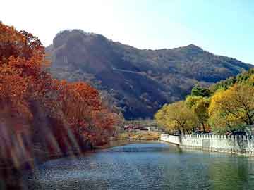 澳门二四六天天彩图库，花冠和卡罗拉的区别